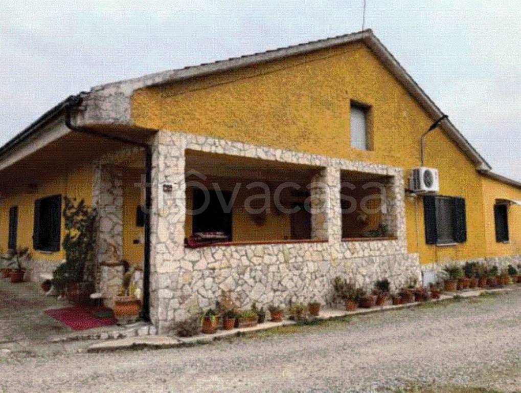 immagine annuncio 7 di 8