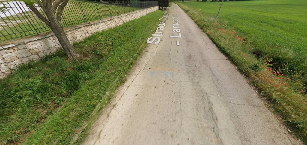immagine annuncio 6 di 10