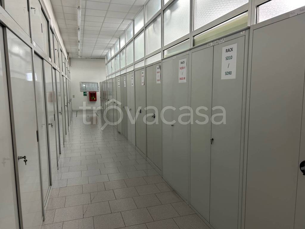immagine annuncio 3 di 7