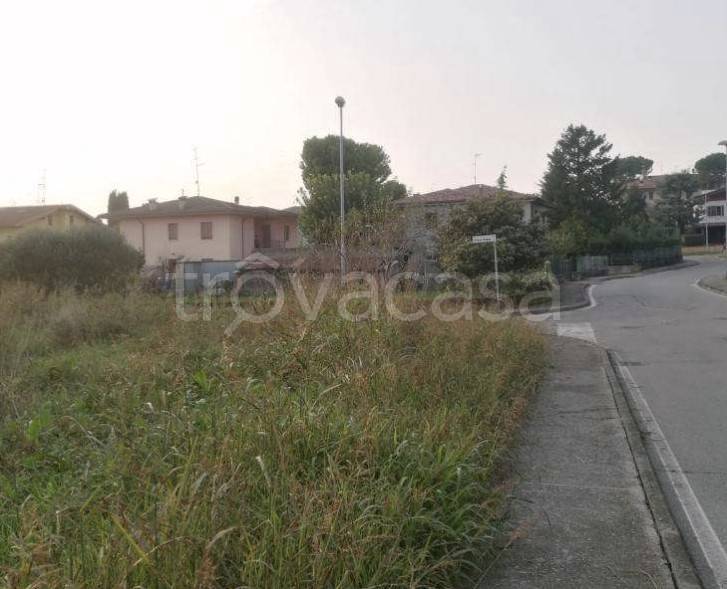immagine annuncio 9 di 13