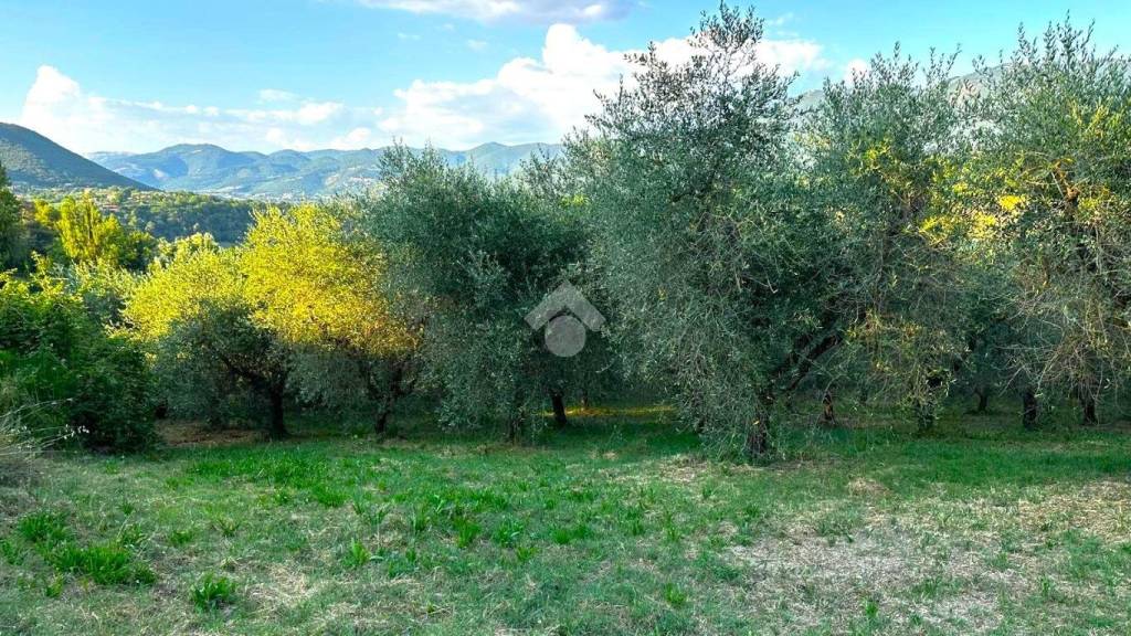 immagine annuncio 4 di 6