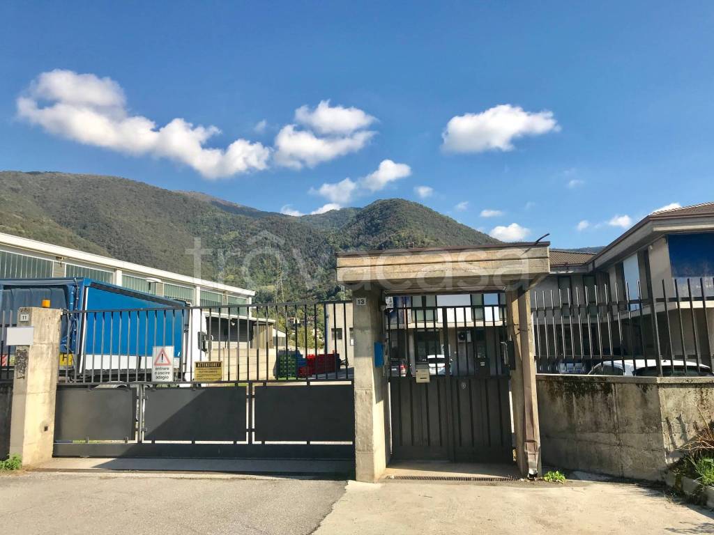 immagine annuncio 6 di 13