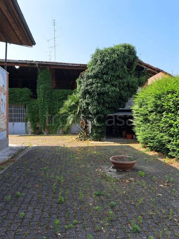 immagine annuncio 12 di 15