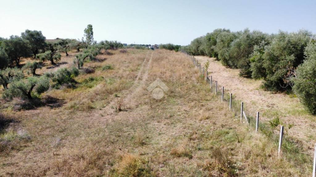 immagine annuncio 7 di 12