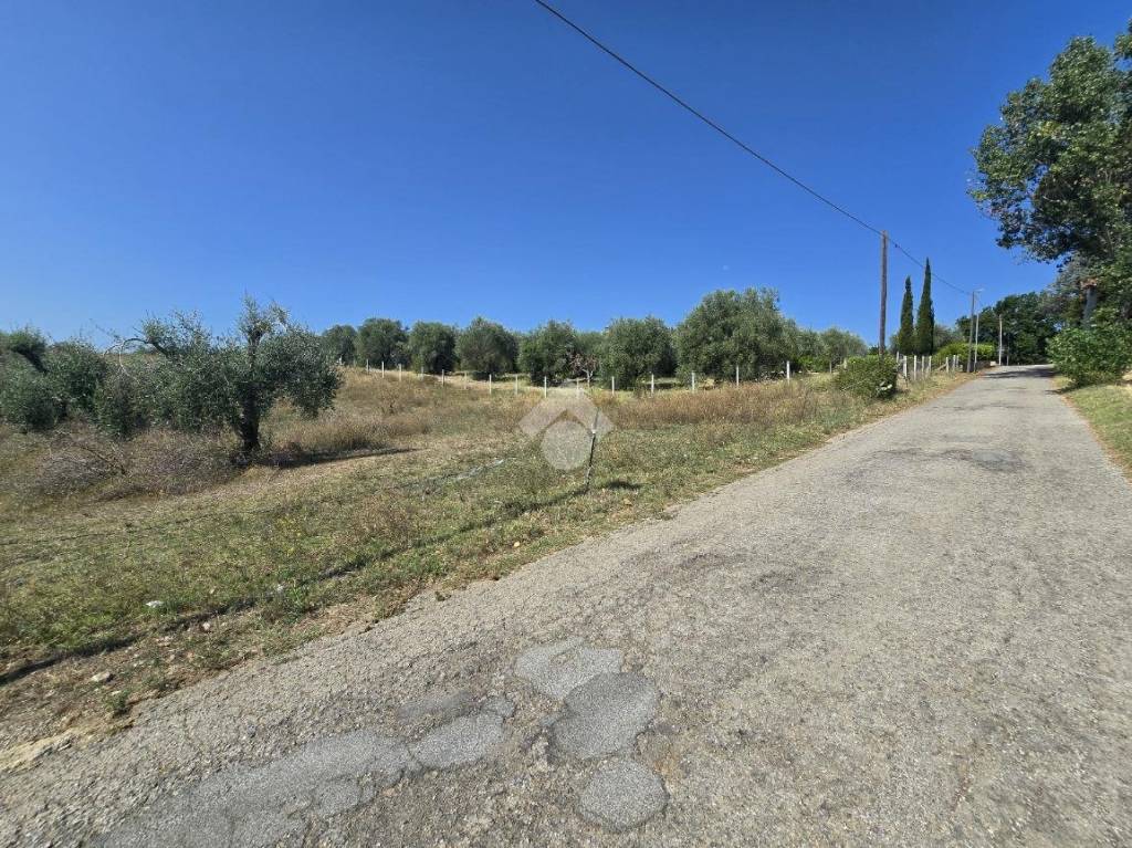 immagine annuncio 8 di 12