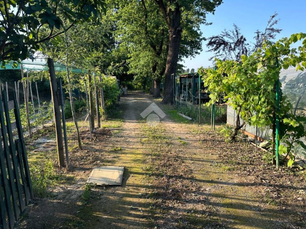 immagine annuncio 2 di 8