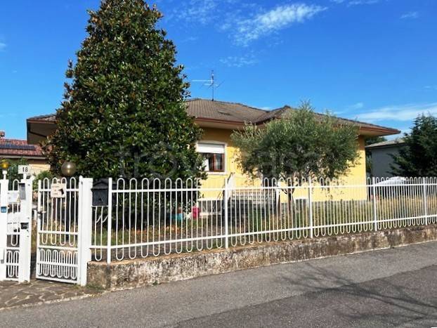 immagine annuncio 3 di 15