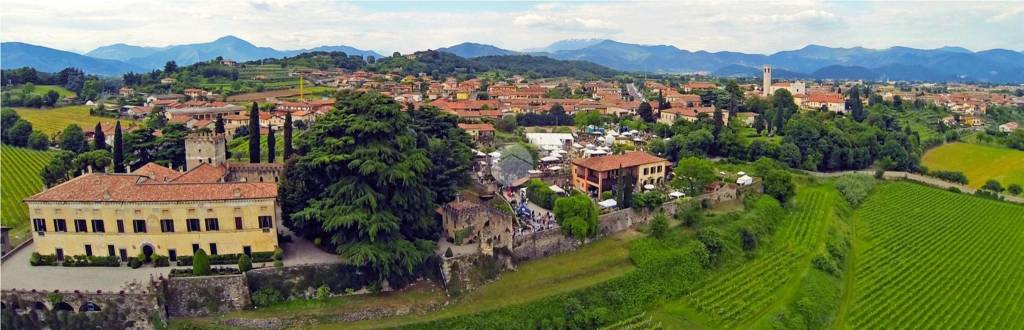 immagine annuncio 9 di 15
