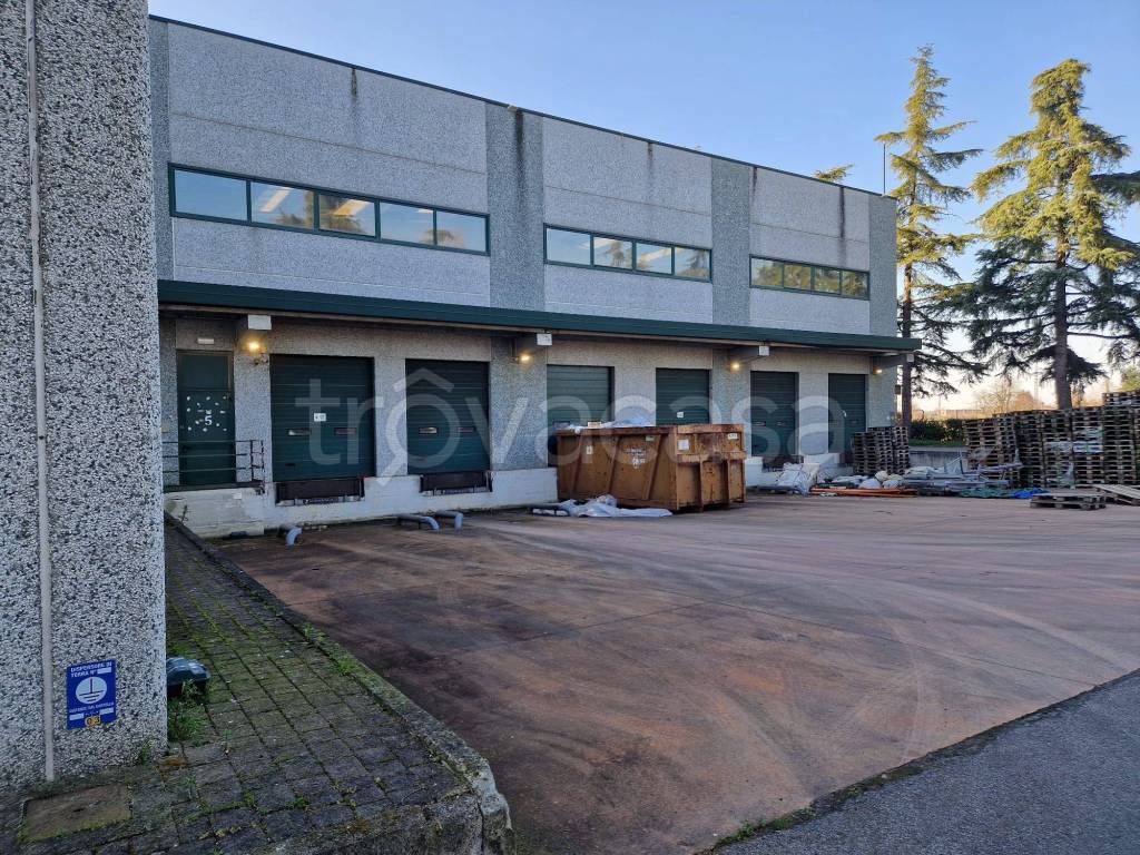 immagine annuncio 4 di 15