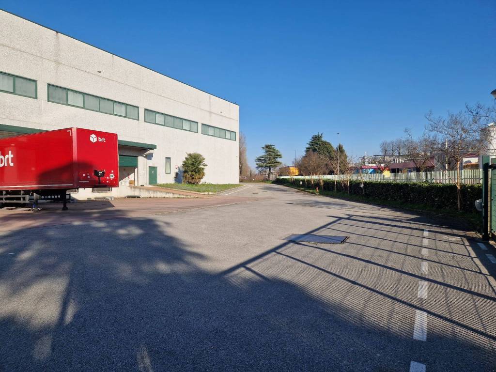 immagine annuncio 5 di 15