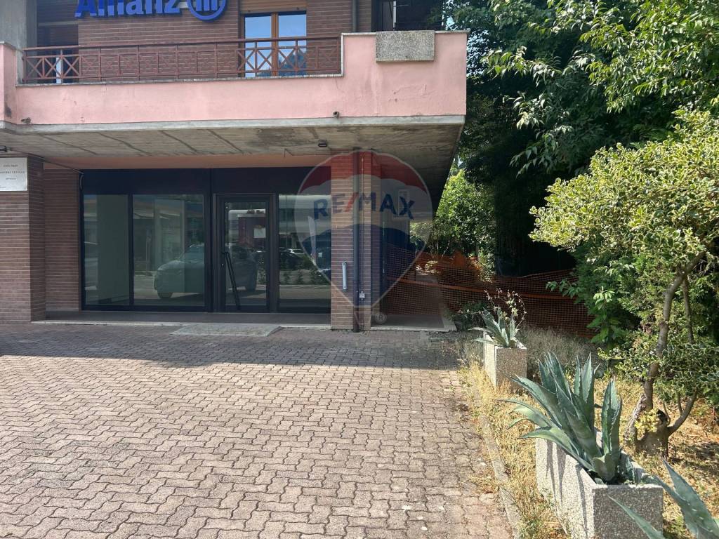 immagine annuncio 12 di 14