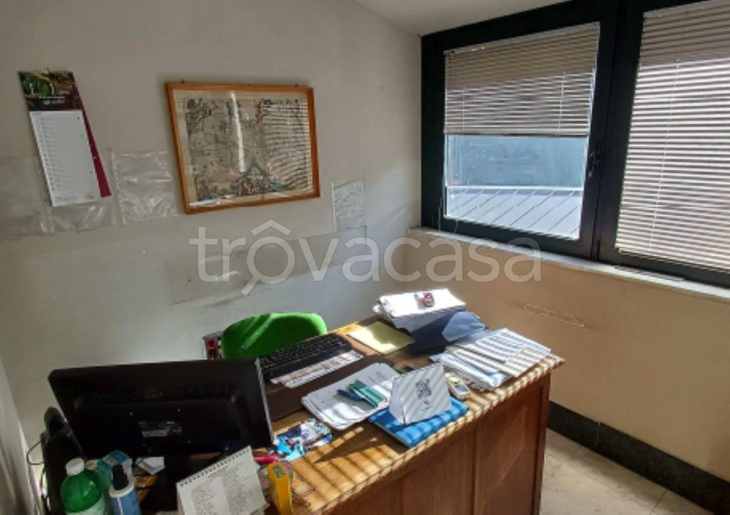 immagine annuncio 9 di 13