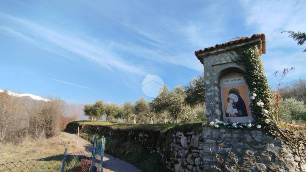 immagine annuncio 5 di 7