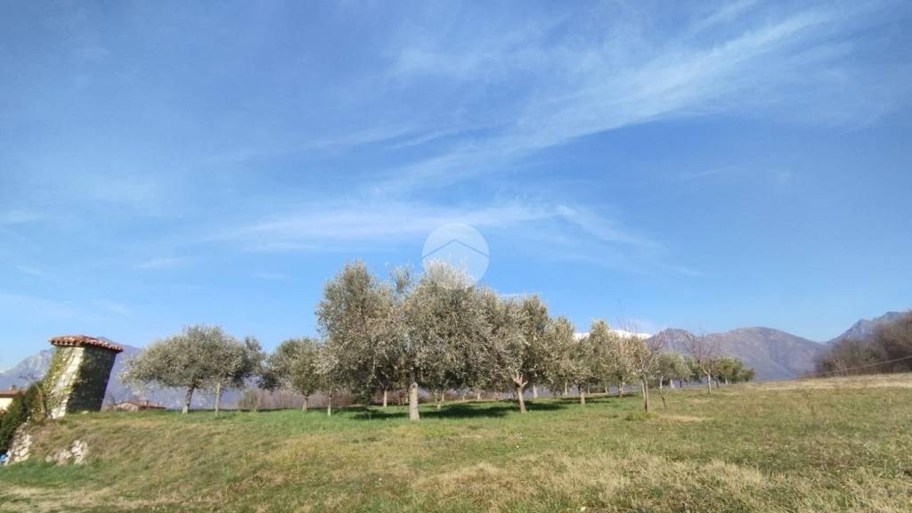 immagine annuncio 6 di 7