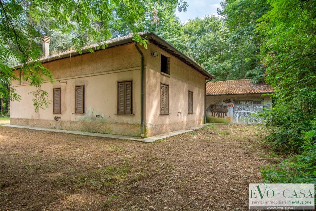 immagine annuncio 8 di 15