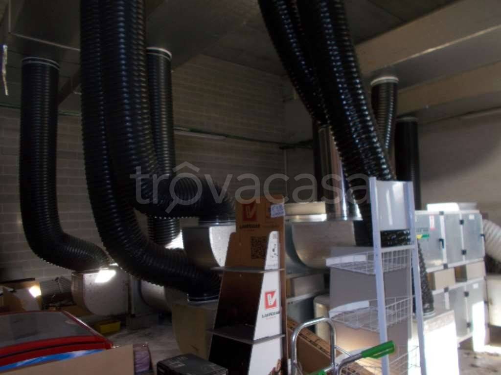 immagine annuncio 9 di 13