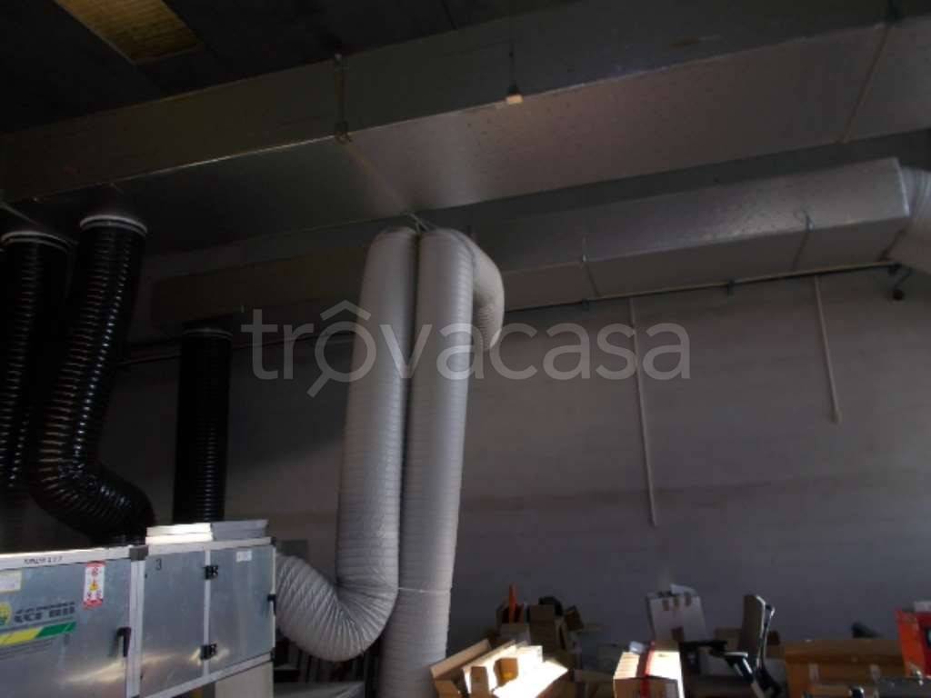 immagine annuncio 10 di 13