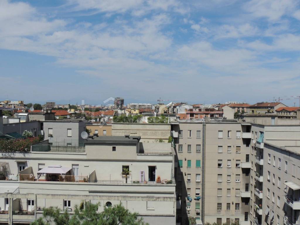 immagine annuncio 9 di 13