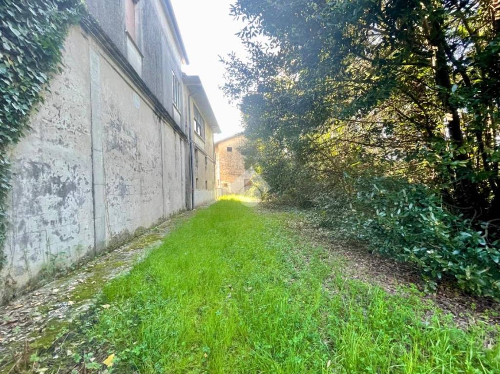immagine annuncio 4 di 12
