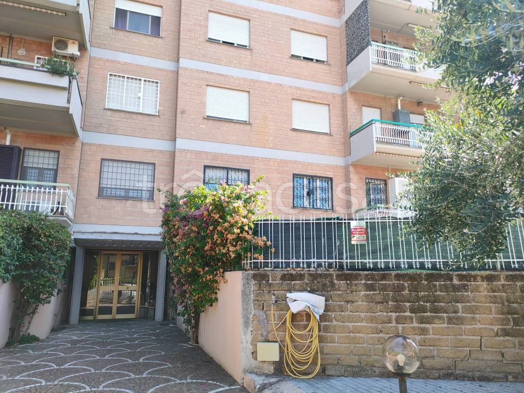 immagine annuncio 13 di 14