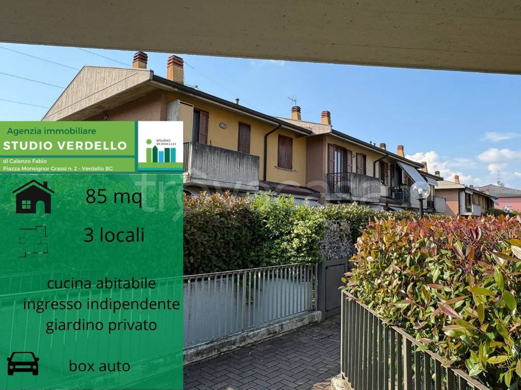 immagine annuncio 1 di 15