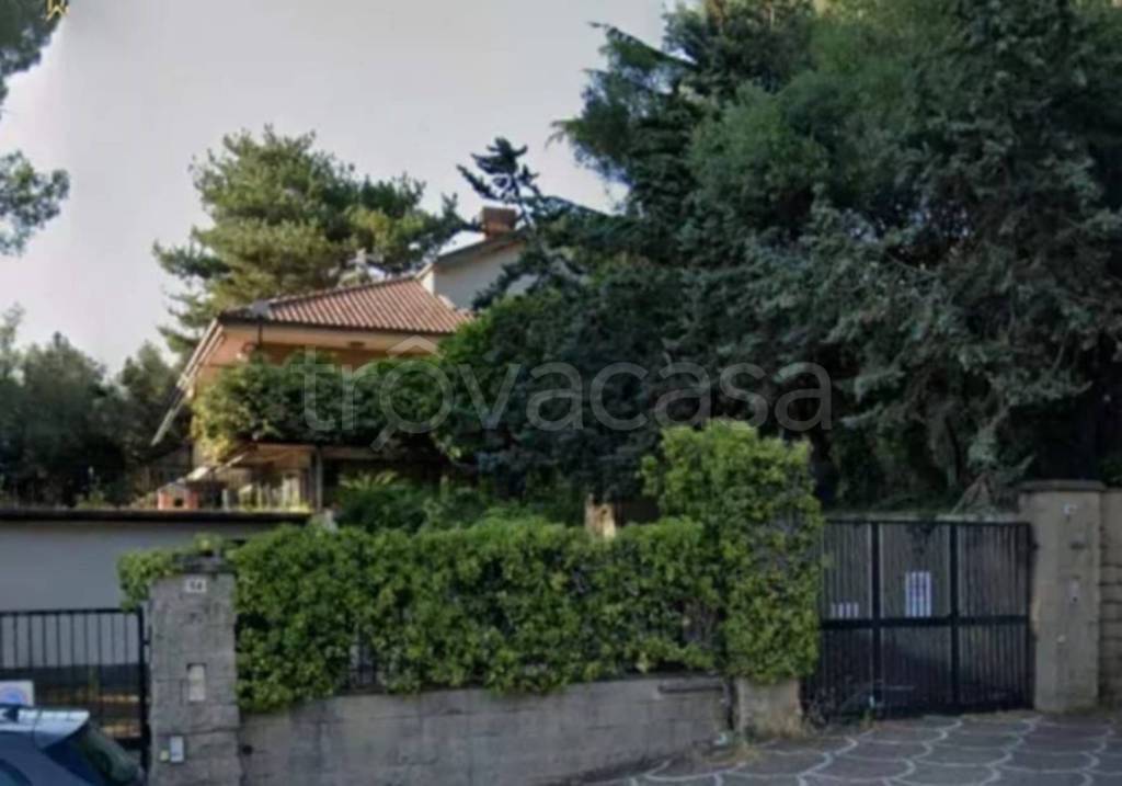 immagine annuncio 11 di 14