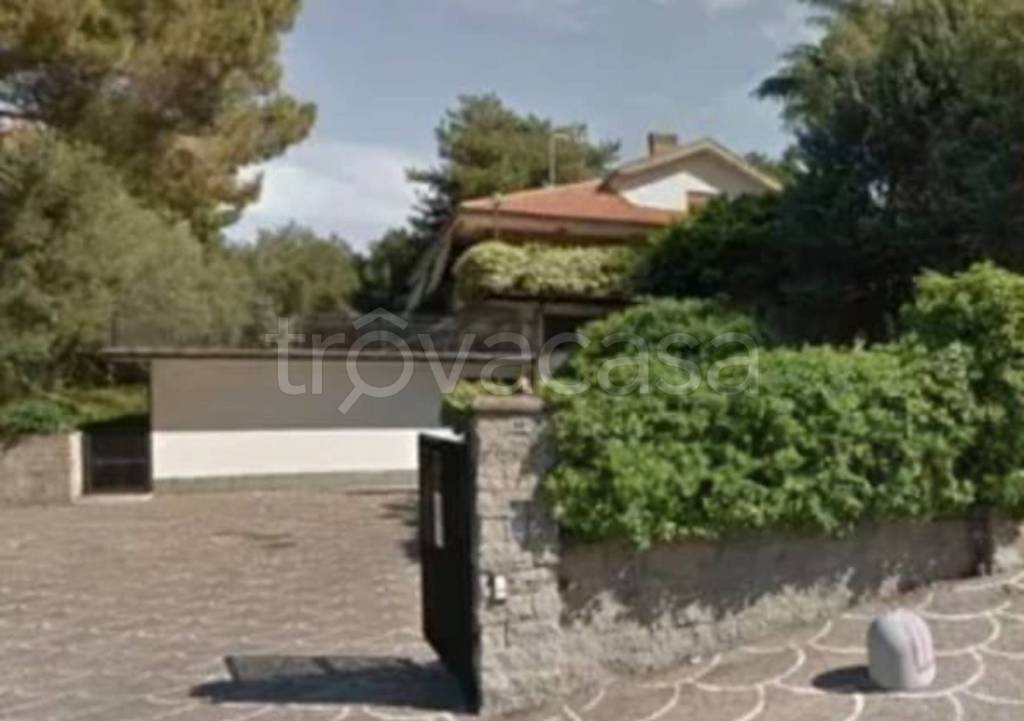 immagine annuncio 12 di 14