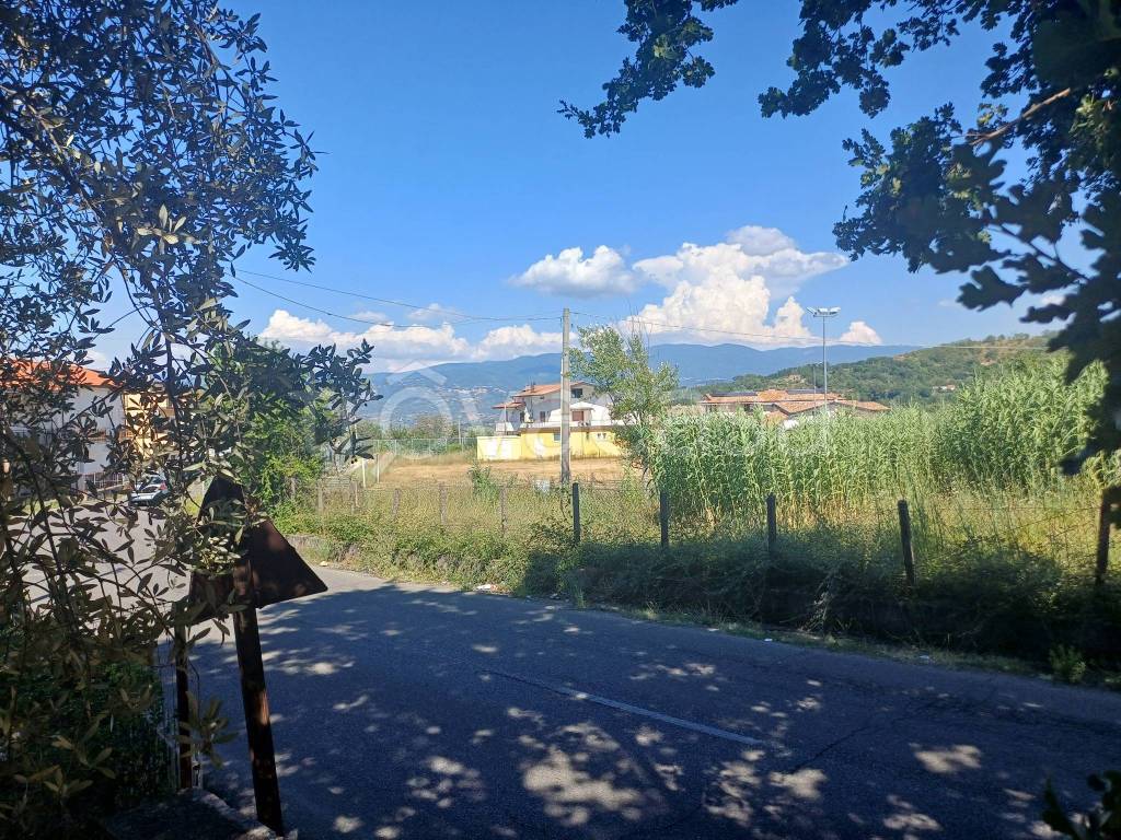 immagine annuncio 10 di 14