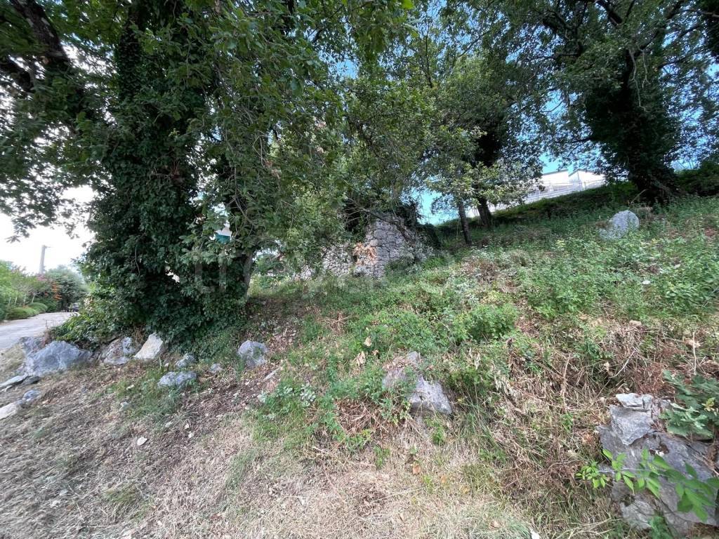 immagine annuncio 10 di 14