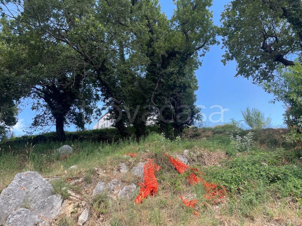 immagine annuncio 12 di 14