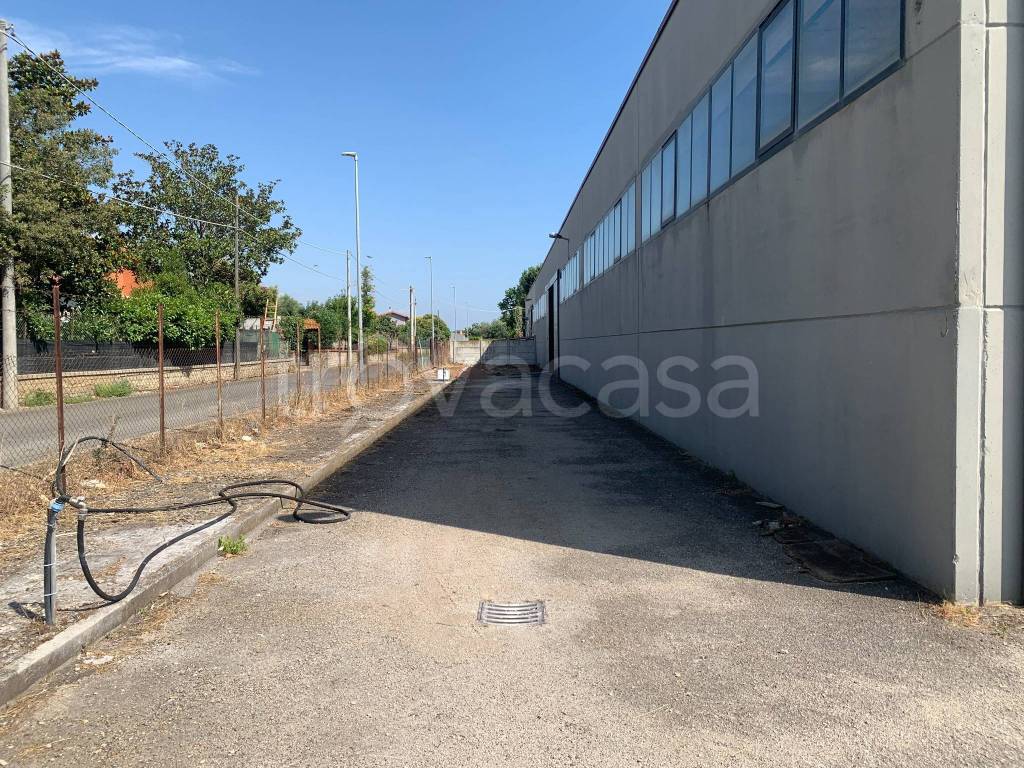 immagine annuncio 3 di 14