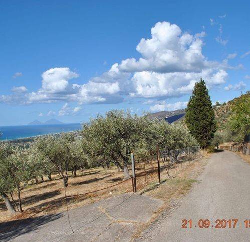 immagine annuncio 3 di 11