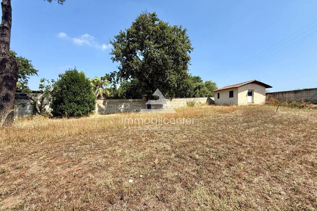 immagine annuncio 3 di 11