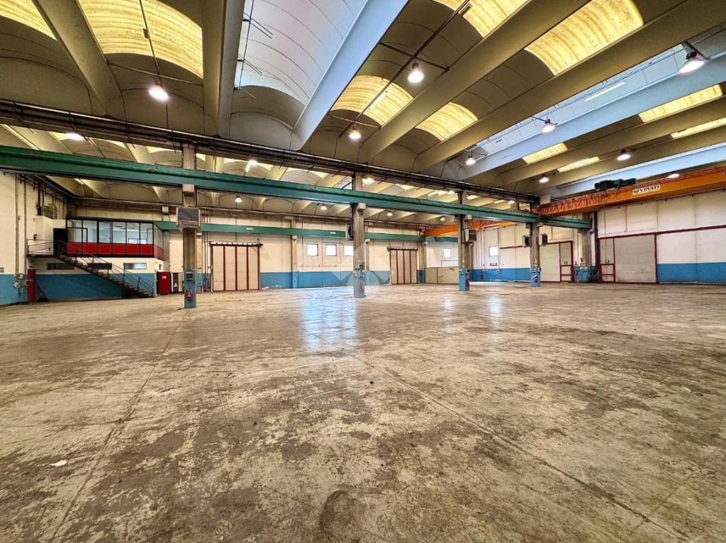 immagine annuncio 1 di 15