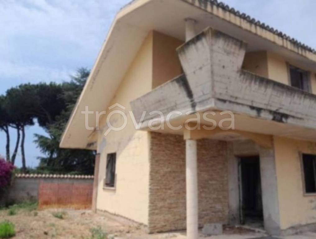 immagine annuncio 7 di 11