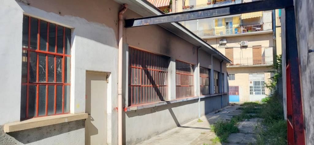 immagine annuncio 2 di 15