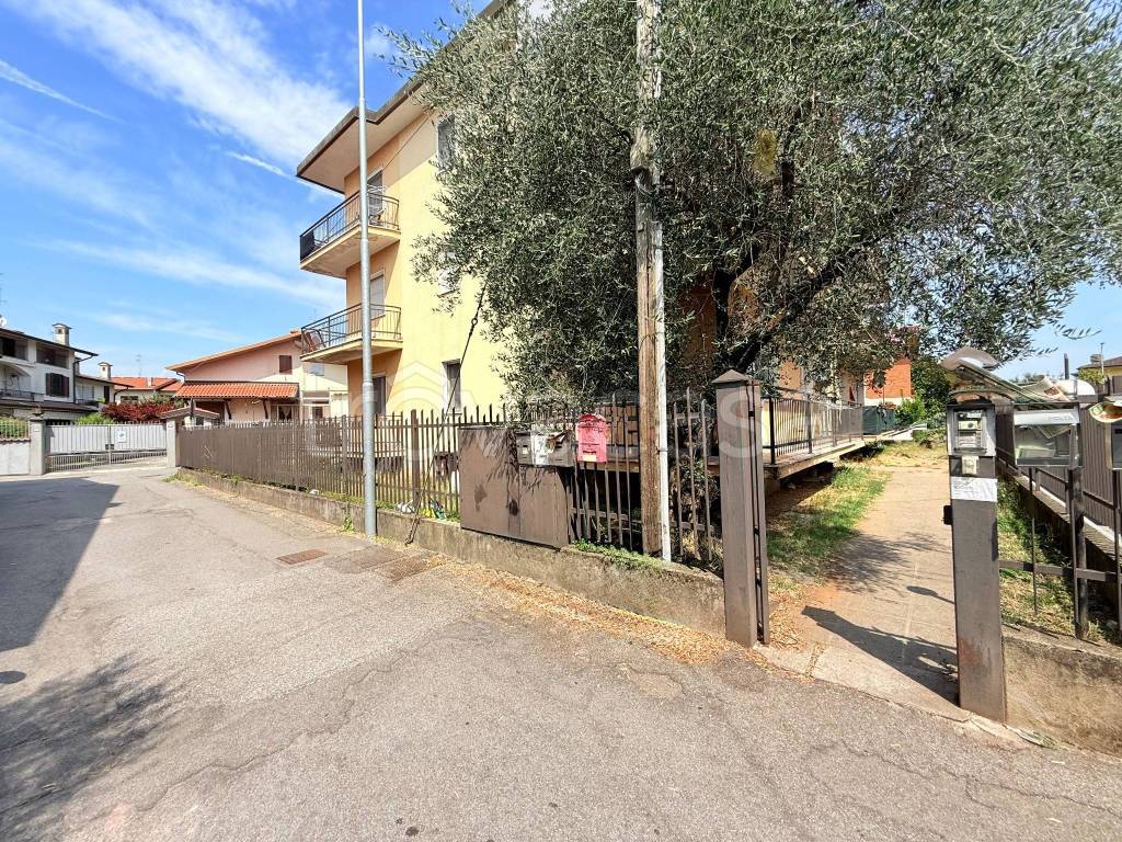 immagine annuncio 1 di 15
