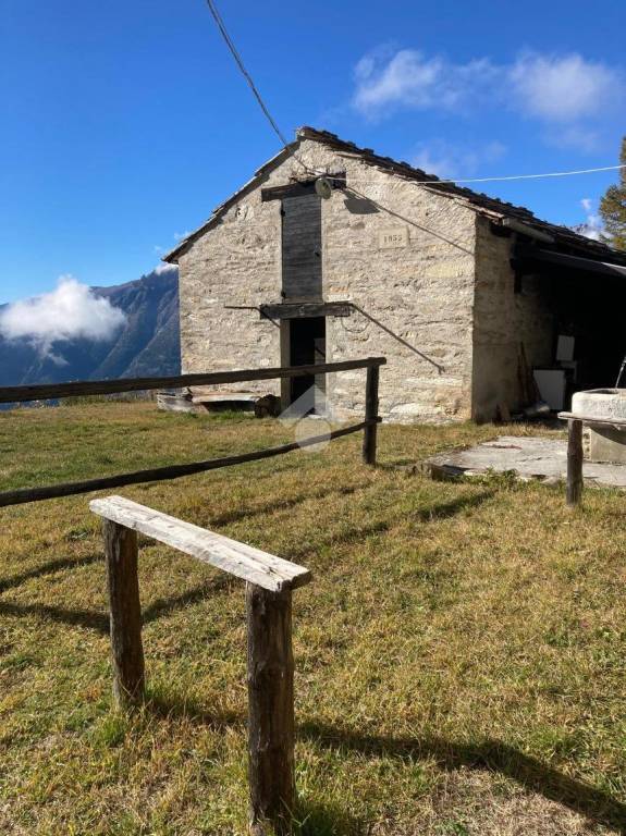 immagine annuncio 1 di 13