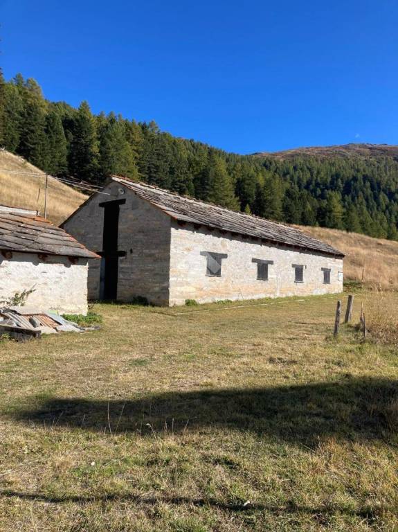 immagine annuncio 3 di 13