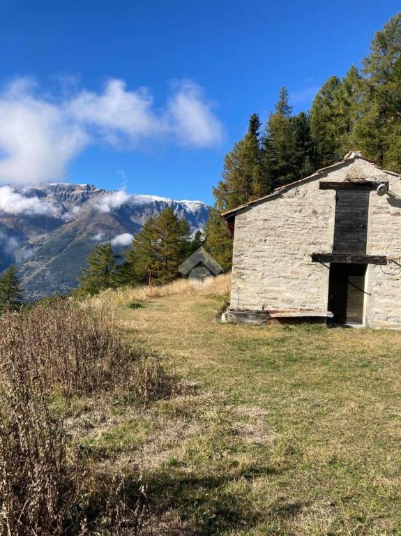 immagine annuncio 11 di 13