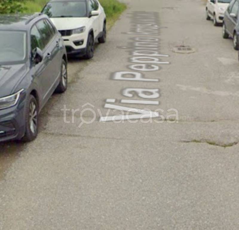 immagine annuncio 12 di 14