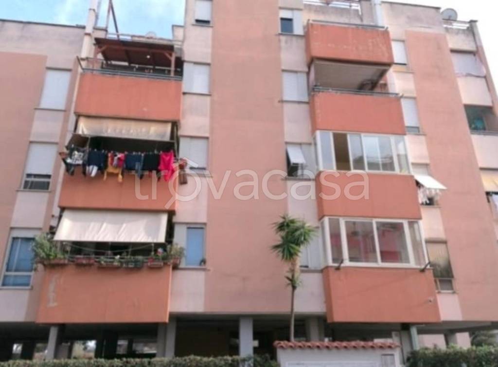 immagine annuncio 8 di 11