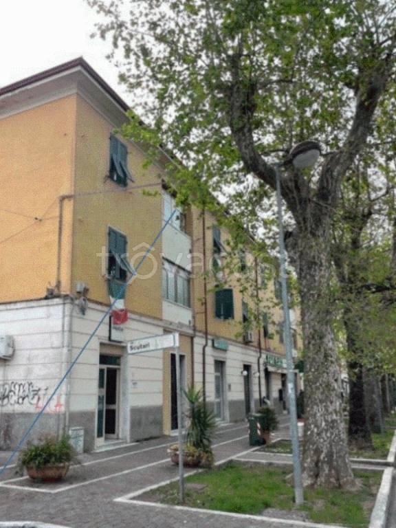 immagine annuncio 11 di 12