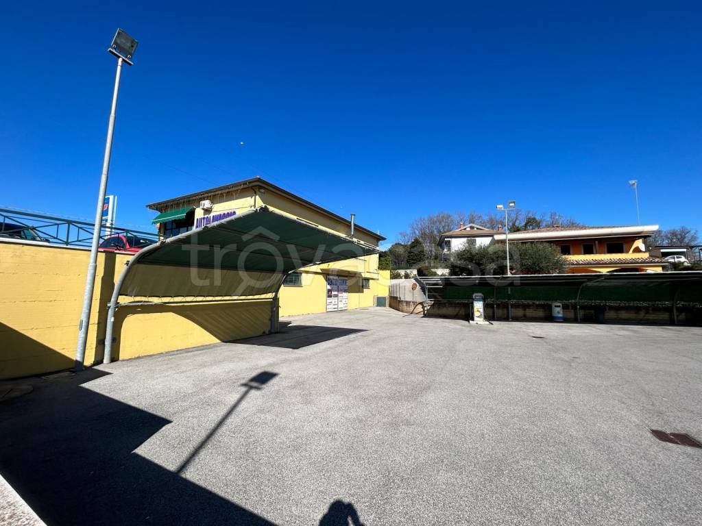 immagine annuncio 9 di 11
