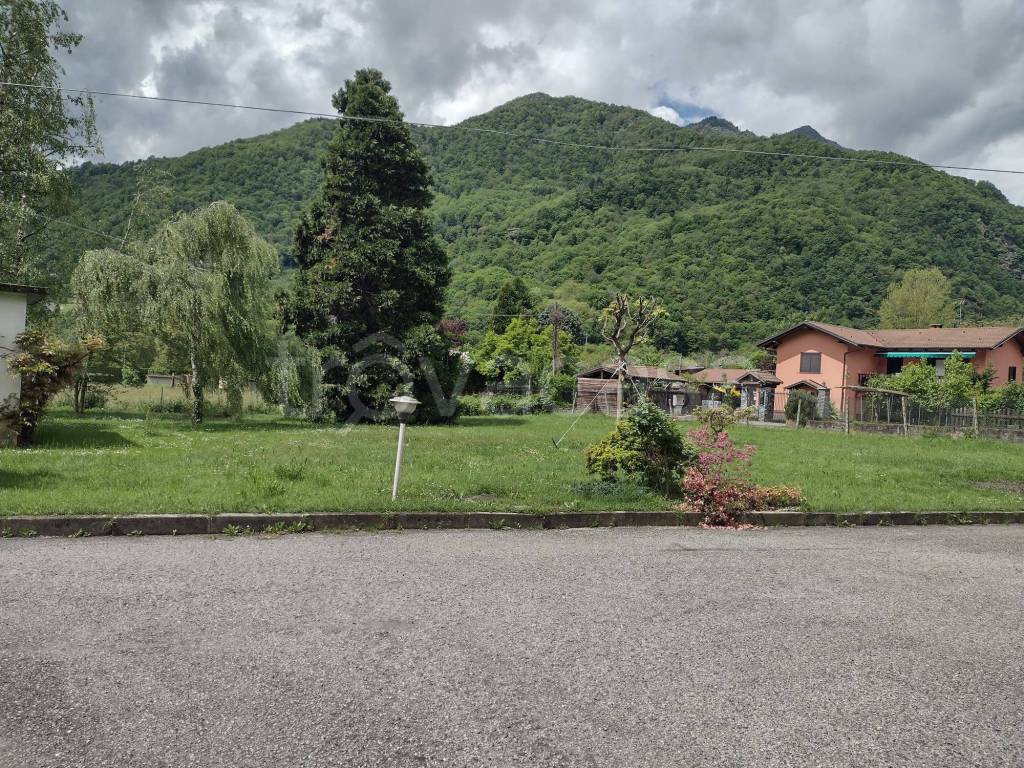 immagine annuncio 12 di 13
