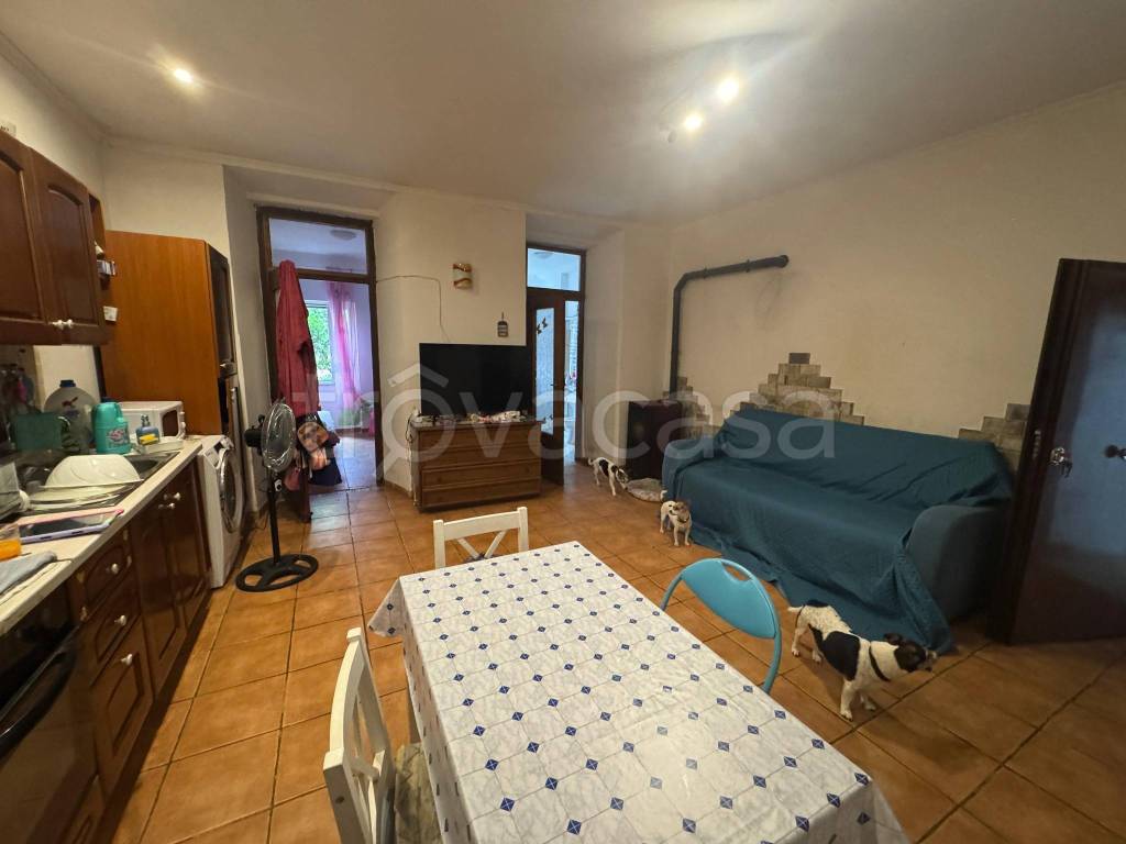 immagine annuncio 2 di 14