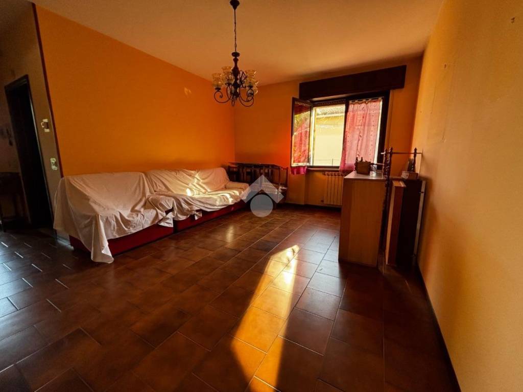 immagine annuncio 6 di 14