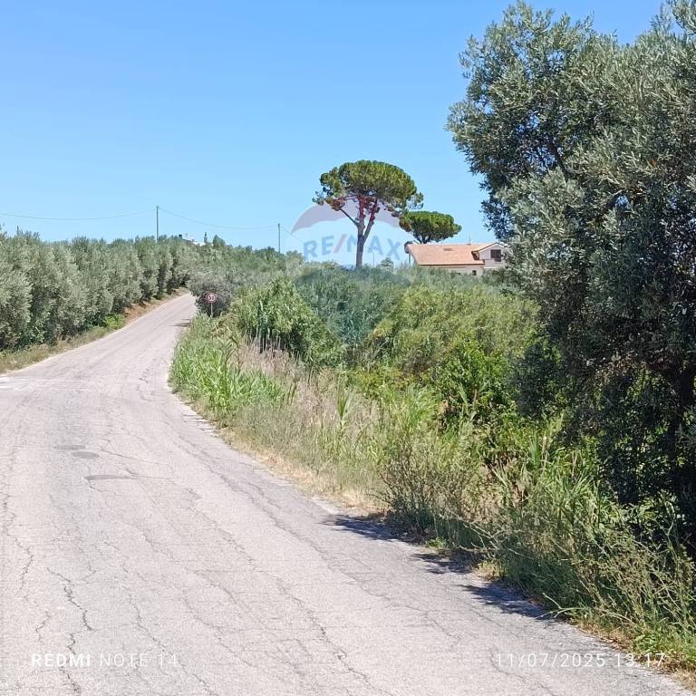 immagine annuncio 4 di 8