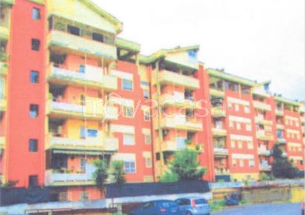 immagine annuncio 11 di 13