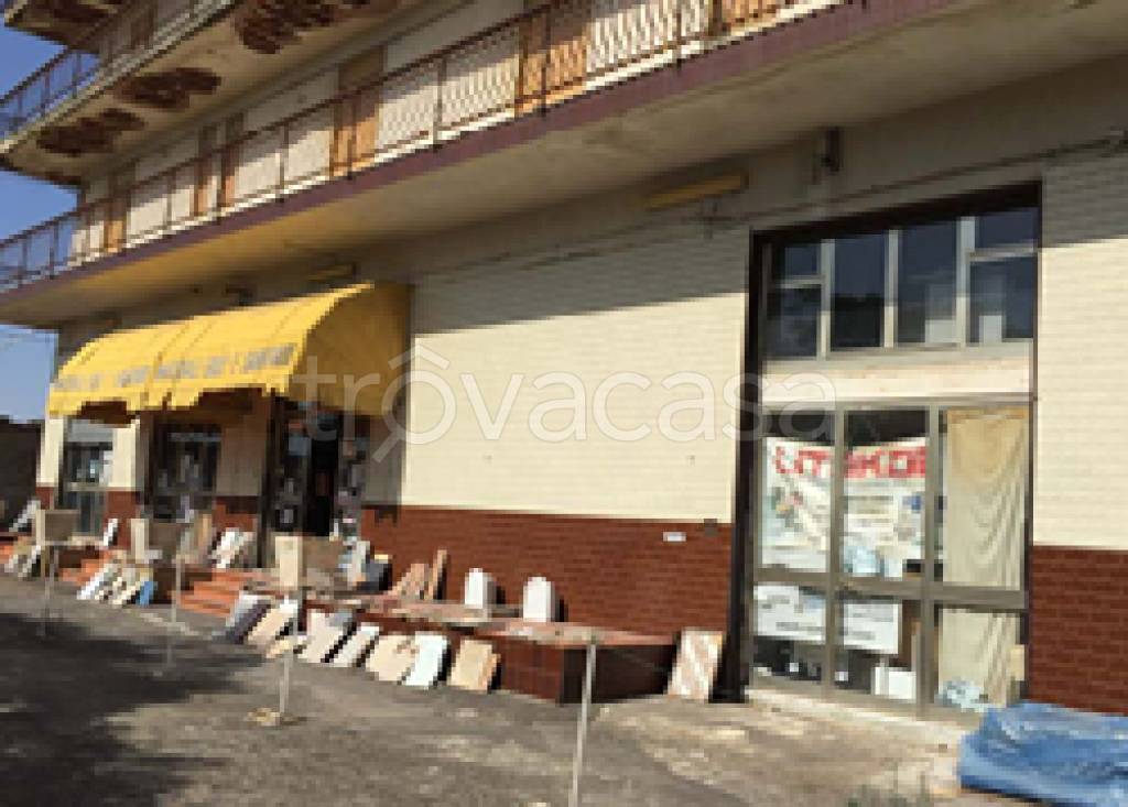 immagine annuncio 7 di 12